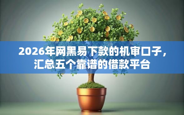 2026年网黑易下款的机审口子，汇总五个靠谱的借款平台