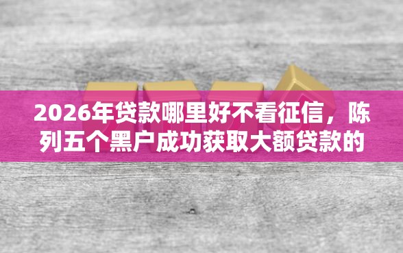 2026年贷款哪里好不看征信，陈列五个黑户成功获取大额贷款的软件