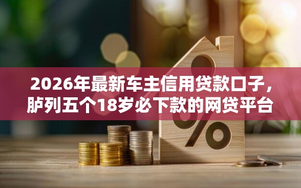 2026年最新车主信用贷款口子，胪列五个18岁必下款的网贷平台
