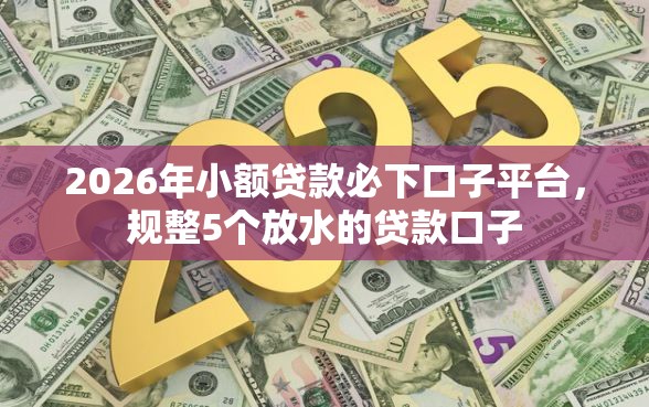 2026年小额贷款必下口子平台，规整5个放水的贷款口子