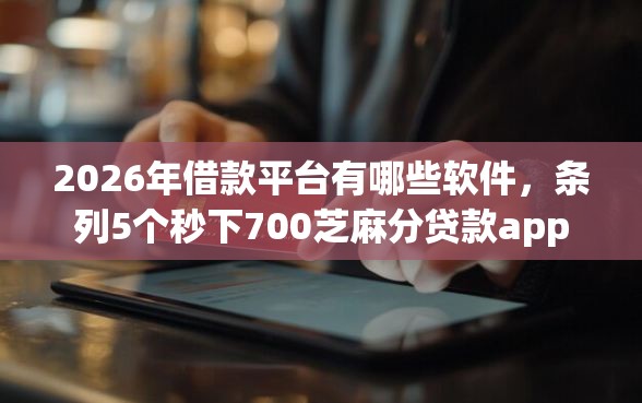 2026年借款平台有哪些软件，条列5个秒下700芝麻分贷款app