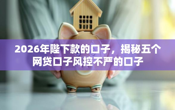 2026年陛下款的口子，揭秘五个网贷口子风控不严的口子