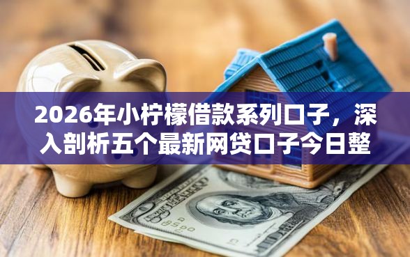 2026年小柠檬借款系列口子，深入剖析五个最新网贷口子今日整理这五个软件