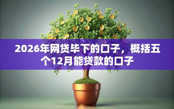 2026年网贷毕下的口子，概括五个12月能贷款的口子
