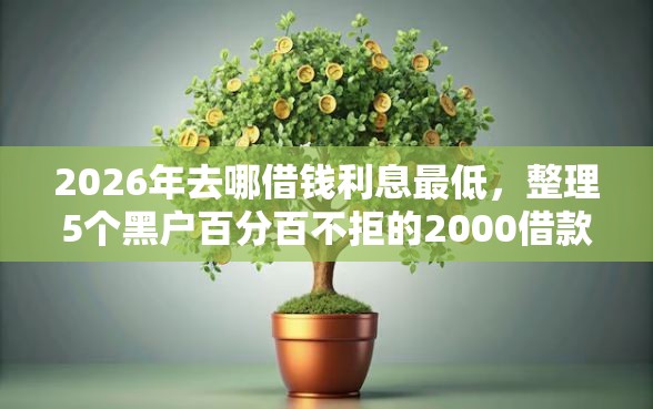 2026年去哪借钱利息最低，整理5个黑户百分百不拒的2000借款口子