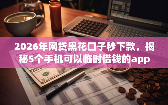2026年网贷黑花口子秒下款，揭秘5个手机可以临时借钱的app