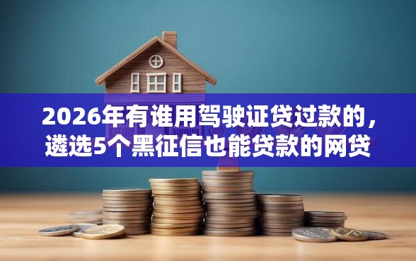 2026年有谁用驾驶证贷过款的，遴选5个黑征信也能贷款的网贷口子