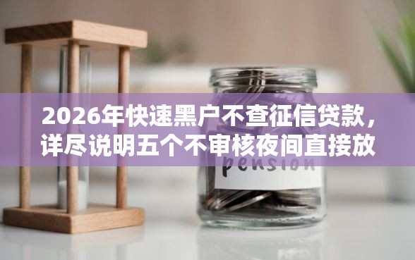 2026年快速黑户不查征信贷款，详尽说明五个不审核夜间直接放款的网贷软件