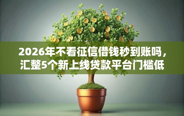 2026年不看征信借钱秒到账吗，汇整5个新上线贷款平台门槛低软件