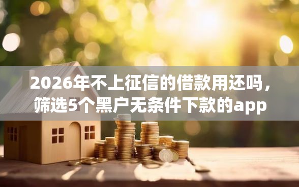 2026年不上征信的借款用还吗，筛选5个黑户无条件下款的app