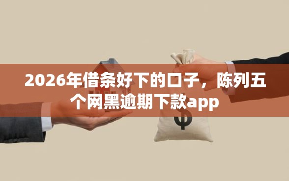 2026年借条好下的口子，陈列五个网黑逾期下款app