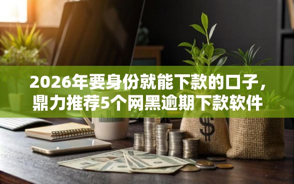 2026年要身份就能下款的口子，鼎力推荐5个网黑逾期下款软件