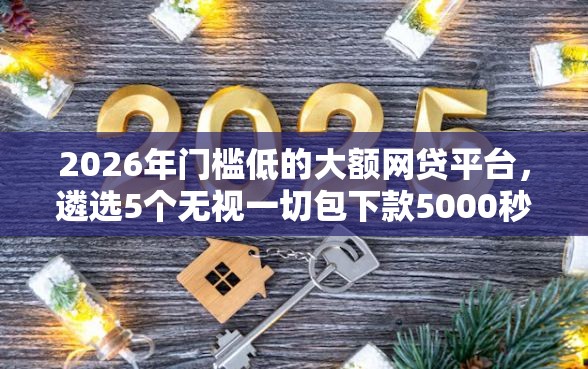 2026年门槛低的大额网贷平台，遴选5个无视一切包下款5000秒下款的软件