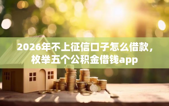 2026年不上征信口子怎么借款，枚举五个公积金借钱app