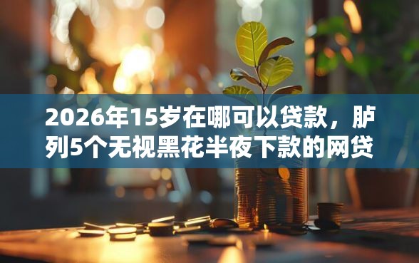 2026年15岁在哪可以贷款，胪列5个无视黑花半夜下款的网贷口子