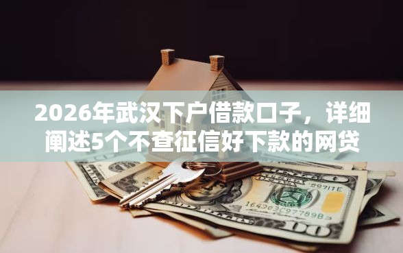 2026年武汉下户借款口子，详细阐述5个不查征信好下款的网贷平台