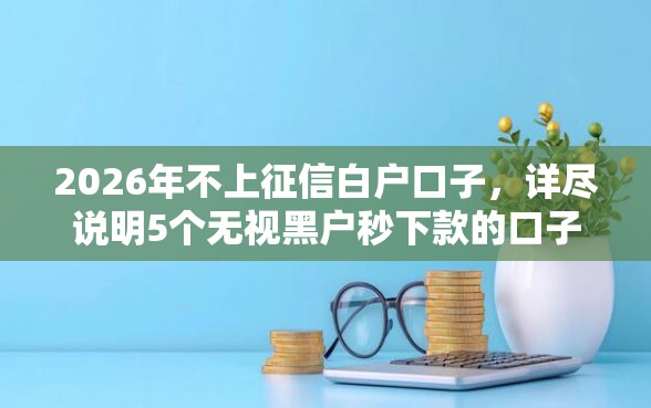 2026年不上征信白户口子，详尽说明5个无视黑户秒下款的口子