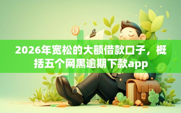 2026年宽松的大额借款口子，概括五个网黑逾期下款app