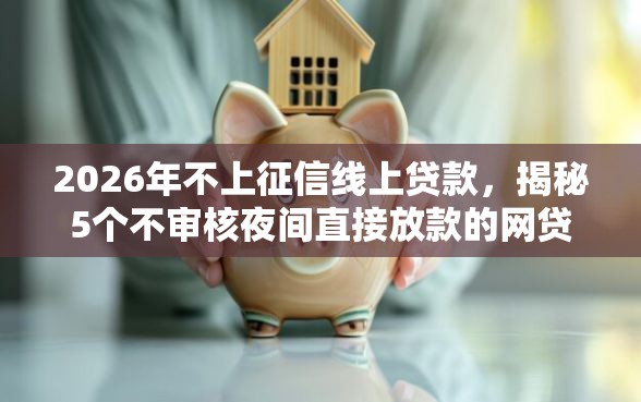 2026年不上征信线上贷款，揭秘5个不审核夜间直接放款的网贷平台