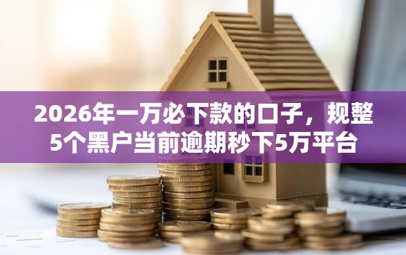 2026年一万必下款的口子，规整5个黑户当前逾期秒下5万平台