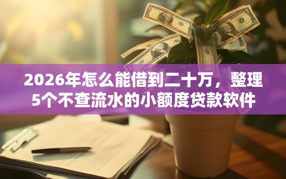 2026年怎么能借到二十万，整理5个不查流水的小额度贷款软件