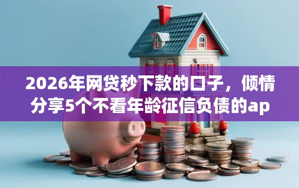2026年网贷秒下款的口子，倾情分享5个不看年龄征信负债的app