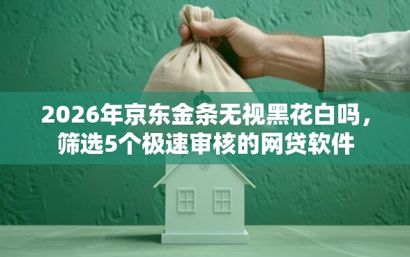 2026年京东金条无视黑花白吗，筛选5个极速审核的网贷软件