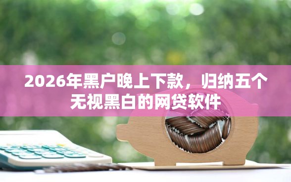 2026年黑户晚上下款，归纳五个无视黑白的网贷软件