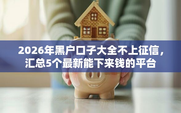 2026年黑户口子大全不上征信，汇总5个最新能下来钱的平台
