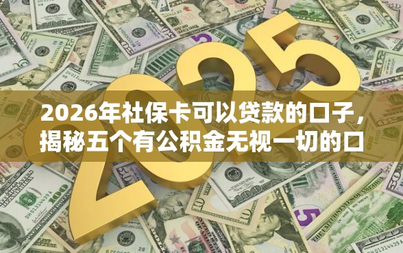 2026年社保卡可以贷款的口子，揭秘五个有公积金无视一切的口子