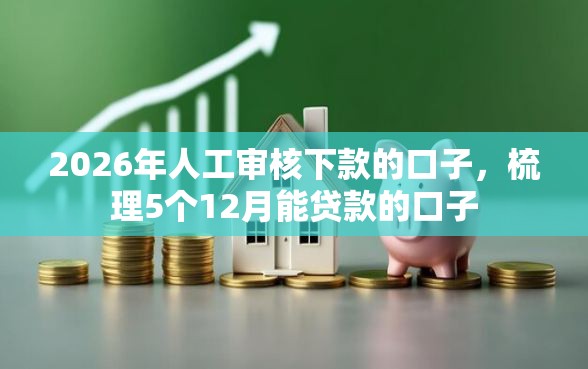 2026年人工审核下款的口子，梳理5个12月能贷款的口子