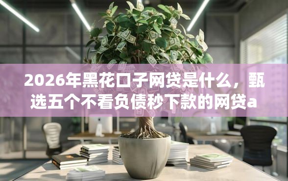 2026年黑花口子网贷是什么，甄选五个不看负债秒下款的网贷app