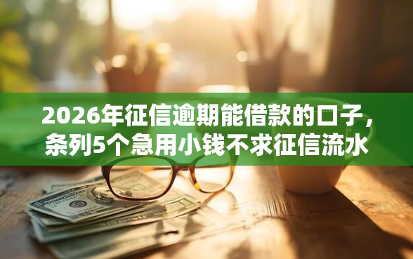 2026年征信逾期能借款的口子，条列5个急用小钱不求征信流水轻松贷的平台