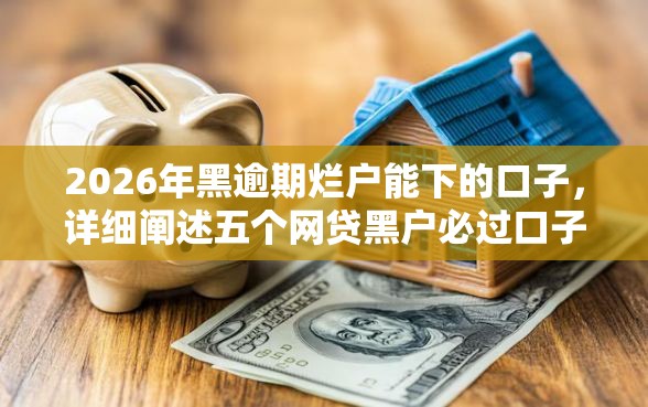 2026年黑逾期烂户能下的口子，详细阐述五个网贷黑户必过口子