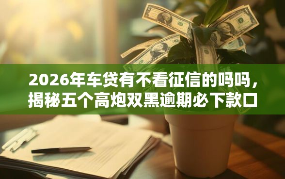2026年车贷有不看征信的吗吗，揭秘五个高炮双黑逾期必下款口子
