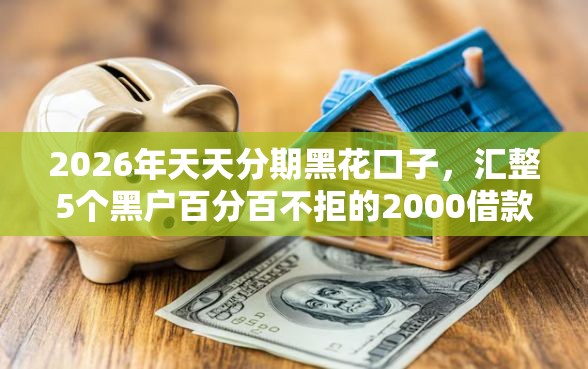2026年天天分期黑花口子，汇整5个黑户百分百不拒的2000借款口子