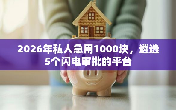 2026年私人急用1000块,遴选5个闪电审批的平台 2026年私人急用1000块,遴选5个闪电审批的平台