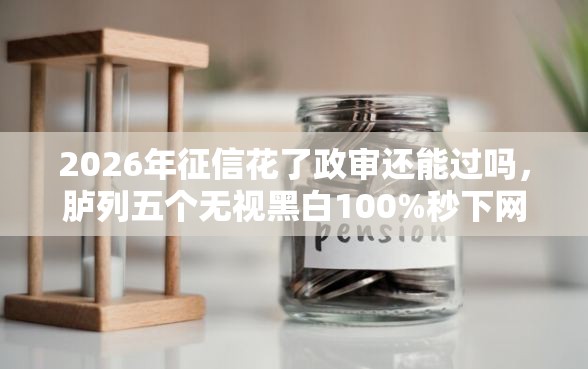 2026年征信花了政审还能过吗，胪列五个无视黑白100%秒下网贷小额夜间口子