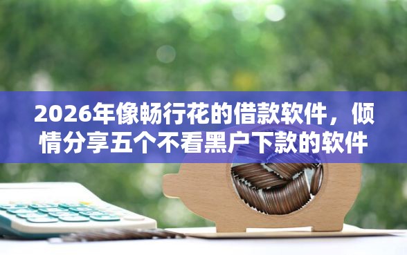 2026年像畅行花的借款软件，倾情分享五个不看黑户下款的软件