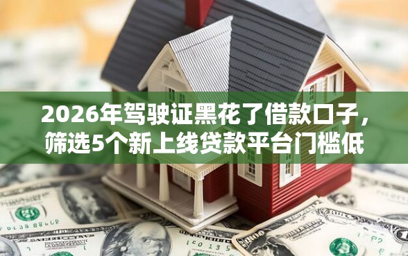 2026年驾驶证黑花了借款口子，筛选5个新上线贷款平台门槛低软件
