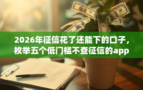 2026年征信花了还能下的口子，枚举五个低门槛不查征信的app