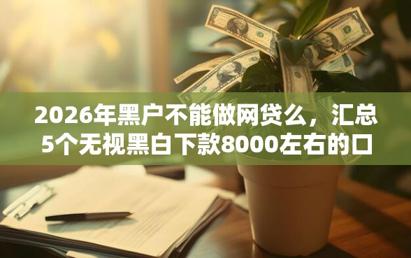 2026年黑户不能做网贷么，汇总5个无视黑白下款8000左右的口子