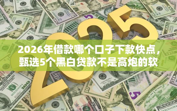 2026年借款哪个口子下款快点，甄选5个黑白贷款不是高炮的软件