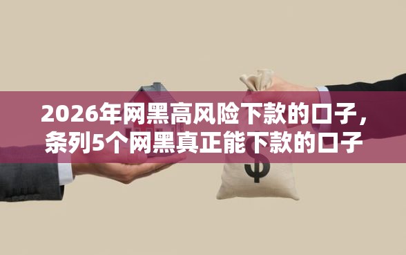 2026年网黑高风险下款的口子，条列5个网黑真正能下款的口子