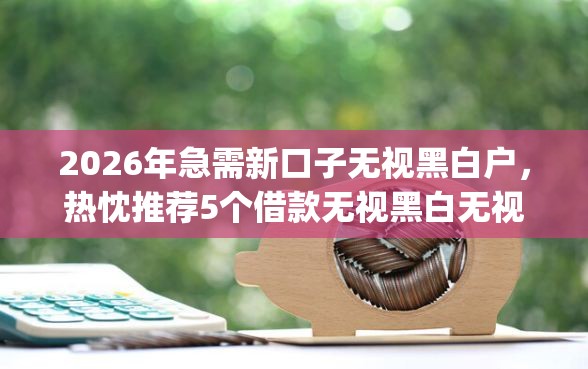 2026年急需新口子无视黑白户，热忱推荐5个借款无视黑白无视年龄100%秒过app