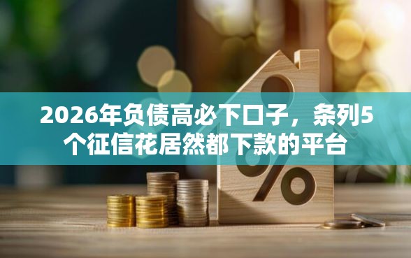 2026年负债高必下口子，条列5个征信花居然都下款的平台