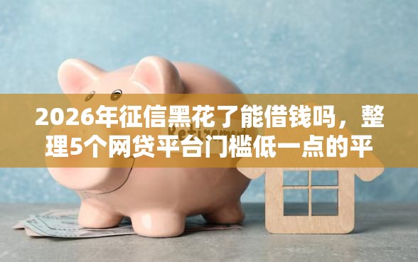 2026年征信黑花了能借钱吗，整理5个网贷平台门槛低一点的平台