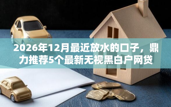 2026年12月最近放水的口子，鼎力推荐5个最新无视黑白户网贷口子