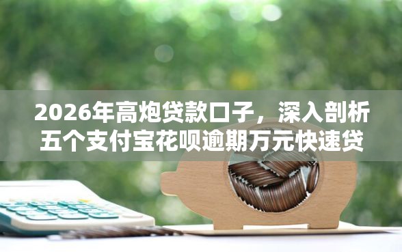 2026年高炮贷款口子，深入剖析五个支付宝花呗逾期万元快速贷款平台