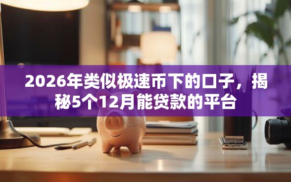 2026年类似极速币下的口子，揭秘5个12月能贷款的平台